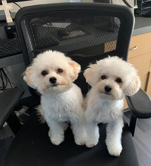 Gracie & Luca